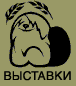 Выставки