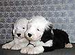 Щенки бобтейла